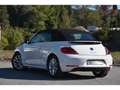 Volkswagen Coccinelle Coccinelle Cabriolet 1.4 16V TSI - 160 - BV DSG 7 COCCINELLE  CABRIOLET Vintage PHASE 1 Weiß - thumbnail 7