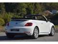 Volkswagen Coccinelle Coccinelle Cabriolet 1.4 16V TSI - 160 - BV DSG 7 COCCINELLE  CABRIOLET Vintage PHASE 1 Weiß - thumbnail 24