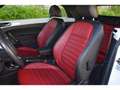 Volkswagen Coccinelle Coccinelle Cabriolet 1.4 16V TSI - 160 - BV DSG 7 COCCINELLE  CABRIOLET Vintage PHASE 1 Weiß - thumbnail 14