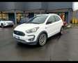 Ford KA + ACTIVE 1.2 S&S 85CV Білий - thumbnail 3