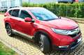 Honda CR-V 2.0 hev Lifestyle NAVI ecvt 145cv, GANCIO, PERMUTE Rosso - thumbnail 3