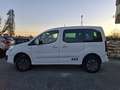 Peugeot Partner Tepee 2015 1.6 bluehdi Active Plus 4x4 100cv Wit - thumbnail 10