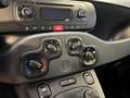 Fiat Panda 1.2 BENZINA Easy 69cv - 5 POSTI - TAGLIANDATA! Argento - thumbnail 10