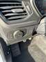 Ford Focus Focus 1.0 ecoboost h ST-Line s Bianco - thumbnail 12