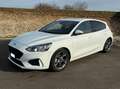 Ford Focus Focus 1.0 ecoboost h ST-Line s Weiß - thumbnail 1