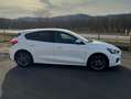 Ford Focus Focus 1.0 ecoboost h ST-Line s Bianco - thumbnail 3