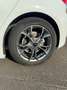 Ford Focus Focus 1.0 ecoboost h ST-Line s Bianco - thumbnail 16