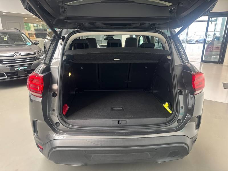 Citroen C5 Aircross 1 1.2 PureTech 130 S&S EAT8 Shine — photo 6