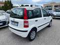 Fiat Panda 1.3 MJT 16V Dynamic 5 POSTI NEOPATENTATI Bianco - thumbnail 3