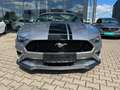 Ford Mustang GT Convertible 5.0 Ti-VCT V8 Aut. GT Grey - thumbnail 9
