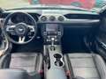Ford Mustang GT Convertible 5.0 Ti-VCT V8 Aut. GT Grey - thumbnail 15
