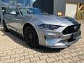 Ford Mustang GT Convertible 5.0 Ti-VCT V8 Aut. GT Grey - thumbnail 7