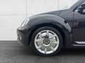 Volkswagen Beetle 2,0 TDI Sport Leder/Pano/Top!!! Schwarz - thumbnail 11