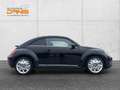 Volkswagen Beetle 2,0 TDI Sport Leder/Pano/Top!!! Schwarz - thumbnail 10