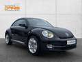 Volkswagen Beetle 2,0 TDI Sport Leder/Pano/Top!!! Schwarz - thumbnail 3