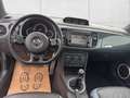 Volkswagen Beetle 2,0 TDI Sport Leder/Pano/Top!!! Schwarz - thumbnail 16