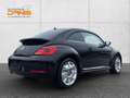 Volkswagen Beetle 2,0 TDI Sport Leder/Pano/Top!!! Schwarz - thumbnail 7