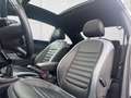 Volkswagen Beetle 2,0 TDI Sport Leder/Pano/Top!!! Schwarz - thumbnail 12