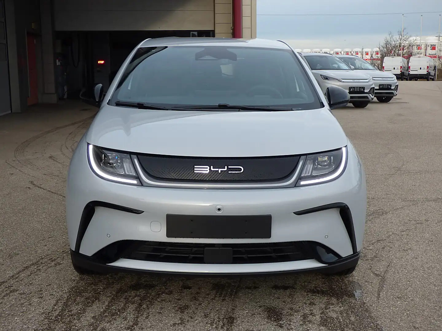 BYD Dolphin 60,4 kWh Comfort Österreich Paket Vorbestellt Weiß - 2