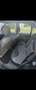 Citroen C3 1.1 Confort Zwart - thumbnail 5