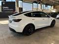 Tesla Model Y Performance Bianco - thumbnail 7