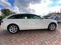 Audi A4 2.0 tdi multitronic Fap Weiß - thumbnail 6