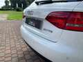 Audi A4 2.0 tdi multitronic Fap Weiß - thumbnail 11