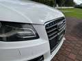 Audi A4 2.0 tdi multitronic Fap Weiß - thumbnail 9