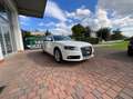 Audi A4 2.0 tdi multitronic Fap Weiß - thumbnail 7