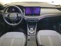 Skoda Octavia Combi 2.0 TDI DSG SELECTION LM17 PANO AH Grau - thumbnail 4