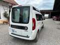 Fiat Doblo SX Maxi XL Kombi Behindertengerecht Wit - thumbnail 9