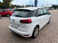 Citroen C4 SpaceTourer C4 SpaceTourer BlueHDi 130 S&S Live Bianco - thumbnail 7