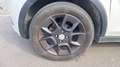 Suzuki Ignis 1.2 Dualjet 90 BVA Pack - Automatique Blanco - thumbnail 18
