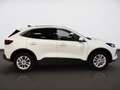 Ford Kuga 2,5 Duratec FHEV Titanium Aut. Weiß - thumbnail 4