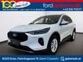 Ford Kuga 2,5 Duratec FHEV Titanium Aut. Weiß - thumbnail 1