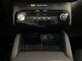 Ford Kuga 2,5 Duratec FHEV Titanium Aut. Weiß - thumbnail 19