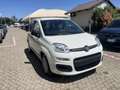 Fiat Panda Panda 1.0 FireFly S&S Hybrid Blanc - thumbnail 1