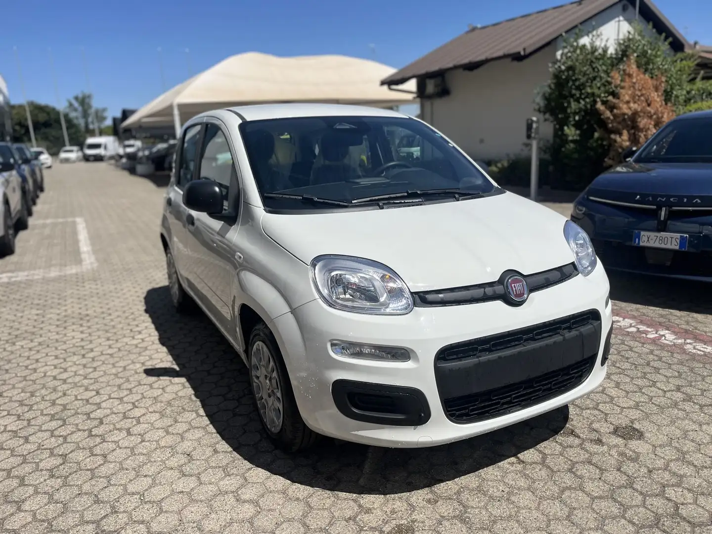 Fiat Panda Panda 1.0 FireFly S&S Hybrid Blanc - 1