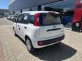 Fiat Panda Panda 1.0 FireFly S&S Hybrid Blanc - thumbnail 4
