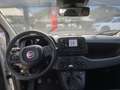 Fiat Panda Panda 1.0 FireFly S&S Hybrid Blanc - thumbnail 8