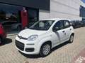 Fiat Panda Panda 1.0 FireFly S&S Hybrid Blanc - thumbnail 2