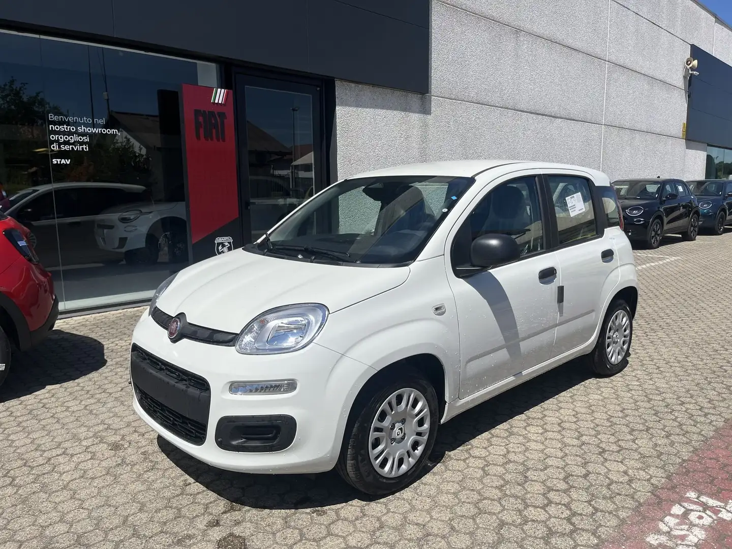 Fiat Panda Panda 1.0 FireFly S&S Hybrid Blanc - 2