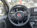 Fiat Panda Panda 1.0 FireFly S&S Hybrid Blanc - thumbnail 9