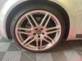 Audi S4 S4 4.2 V8 Quattro Gris - thumbnail 8