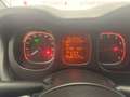 Fiat Panda Panda 1.0 FireFly S&S Hybrid City Life Bianco - thumbnail 14