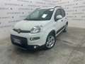 Fiat Panda Panda 1.0 FireFly S&S Hybrid City Life Bianco - thumbnail 1