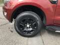 Ford Ranger XLT+AHK+Klima+Laderaumrollo+LM-Felgen+4x4 Rojo - thumbnail 11