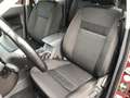 Ford Ranger XLT+AHK+Klima+Laderaumrollo+LM-Felgen+4x4 Roşu - thumbnail 13