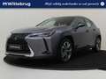Lexus UX 250h Business Line Hybride | RIJKLAAR! | Achteruitrijca Grijs - thumbnail 1