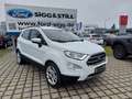 Ford EcoSport 1.0 Titanium AHK*LED*NAVI*TWA*SHZ*PDC*CAM Blanc - thumbnail 2